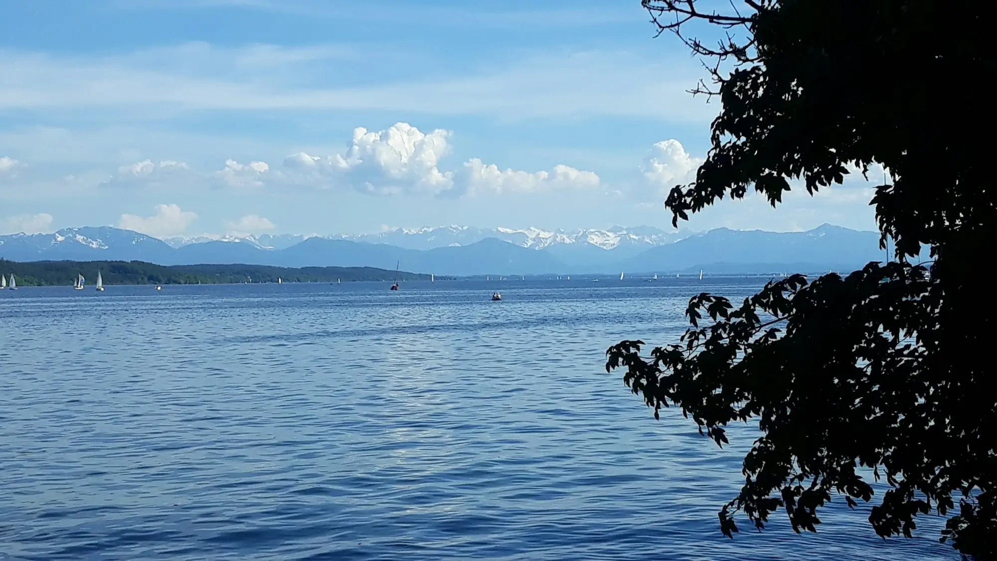 View across Lake Constance to the Alps